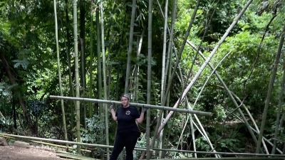 Timber bamboo