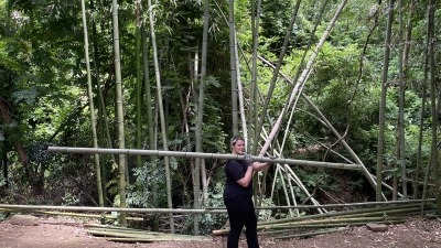 Timber bamboo 