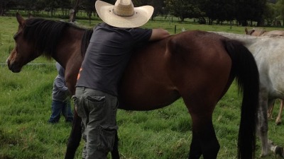 me, horses, rubber boots, a paddock. thats it.