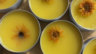 Calendula salve ready to go