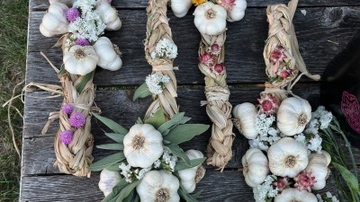 Garlic braids with dried flowers and herbs woven into them by Ris