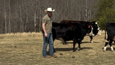 Josh with his cows