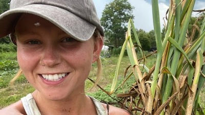 Garlic Harvest