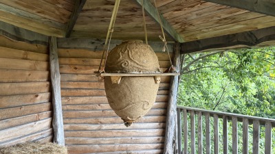 Sun hive. 