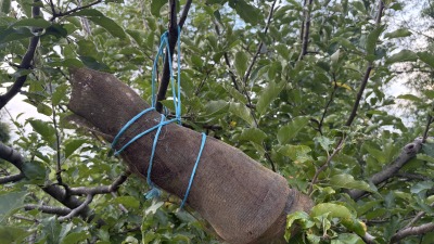 Biodynamic preparation. 