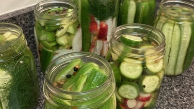 Summer pickles