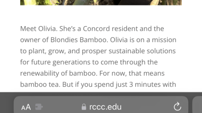 Article of bamboo business
