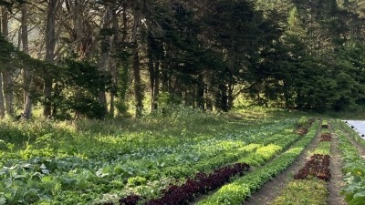 previous farming experience 