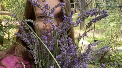 Emma behind harvested lavender 