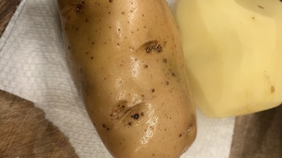 Dutch variety of potato I’d be growing 