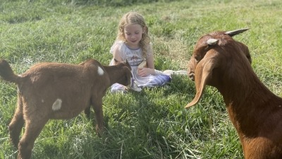 Hadley with goats