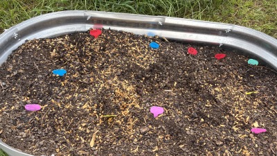 Starting my fall garden
