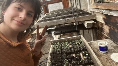 Me starting seeds and potting-up seedlings in a greenhouse