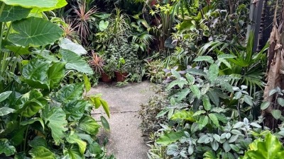 My Garner Garden