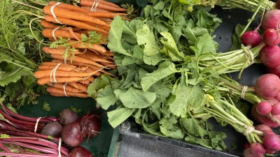 Carrots, beets, and radishes at a farm stand