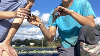 Planting with volunteer Nicole