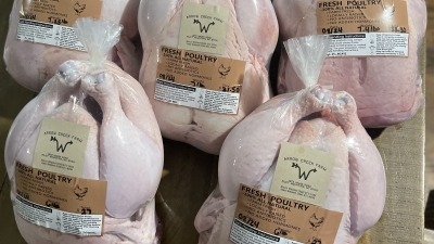 Processed Broiler 