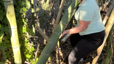 First gen bamboo farmer 