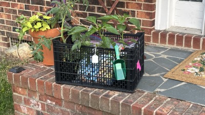 Greenhouse growing area with potted herbs, flowers, and vegetables.