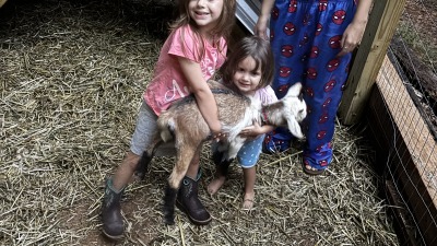 Goddaughter teaching my daughters how to handle goats