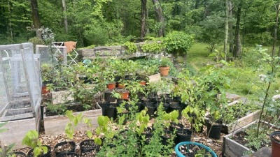 Nursery