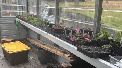 Greenhouse growing area with potted herbs, flowers, and vegetables.