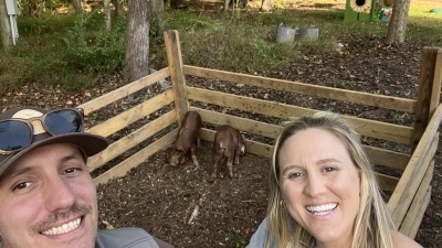 A smiling couple takes a selfie beside a small wooden pen with two young pigs. Behind them, tall trees and a play area painted with sunflowers create a peaceful, rustic farm setting.