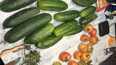 What began with simple veggies...