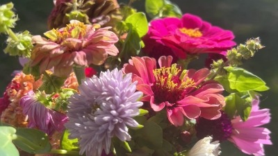 Boquet