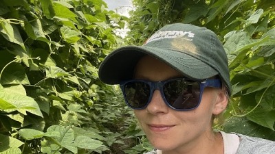 Picking beans