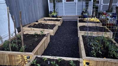 How it started …. Raised vegetable garden beds with a central walkway and greenhouse.