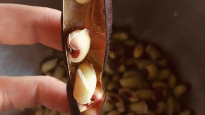Shelling Peas