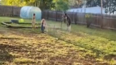 Utilizing the little bit of sunshine and space that we have for now.