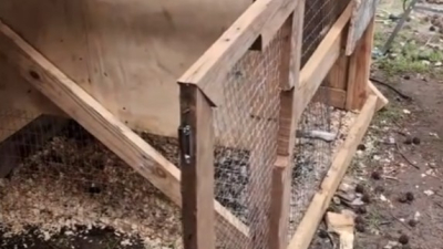 We called this little build the 'condo coop' . 