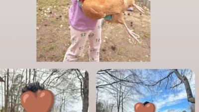 This is generational. So much more important to us then just producing for sale. We desire to have enough space to show our children what it really means to live off of the land.