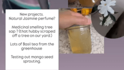 We like to experiment with new projects from what the land gives us.