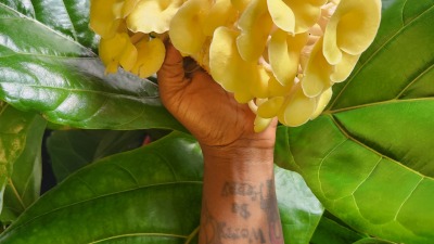 Our first honey harvest 