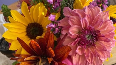 a bouquet of rusty and yellow sunflowers, lavender stratus, and a blushy pink dahlia