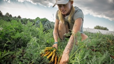 image of me pulling rainbow carrots out with a smile!