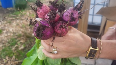Community gardening