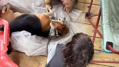 Children playing with a beagle and bubble wrap