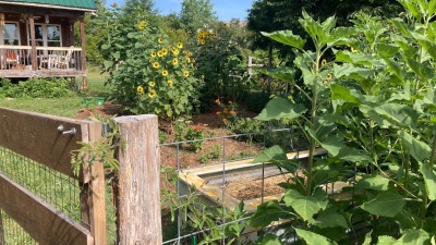 Home Garden