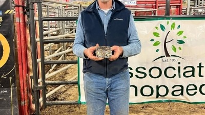 Have won awards for hig marked bulls and futurity bulls