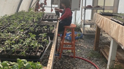 Child working in Greenhouse