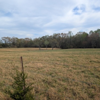 Multi-Generation Pasture Land For Sale Polk County NC