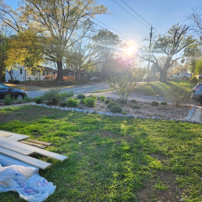 Front yard - pollinator garden 1
