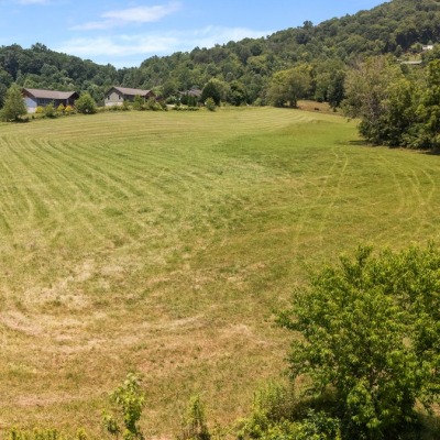 Lower hayfield