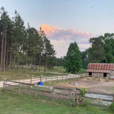 view of the barn
