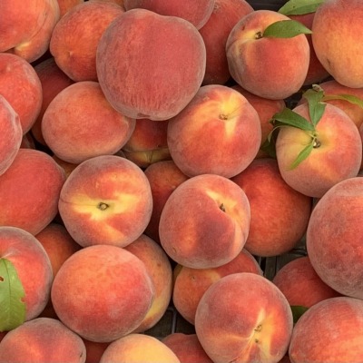 Peaches grown 