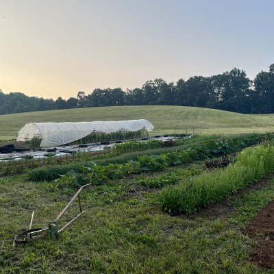 farm in production